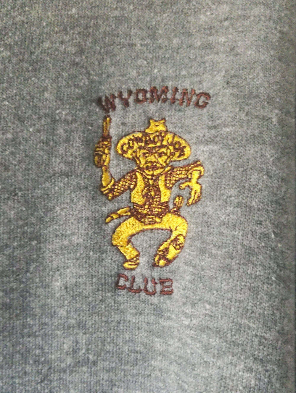Russell Athletic Gray Hoodie with Embroidery